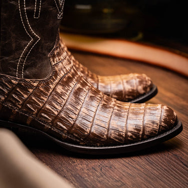 Phoenix In Stone Brown