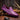 Remo In Purple