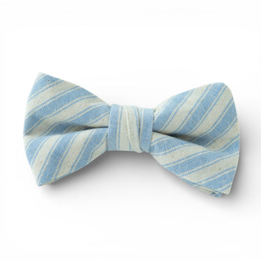 Robin Egg Stripe - Boys Bow Tie