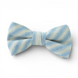 Robin Egg Stripe - Boys Bow Tie