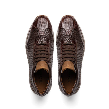 Roma In Brown