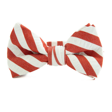 Scarlet Stripe - Boys Bow TIe