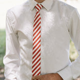 Scarlet Stripe Men's Tie