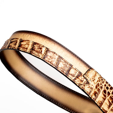 Texas In Stone Orix