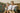 Foyer Floral - Boys Tie — view 6