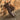 DapperFam Zephyr in Dark Brown Men's Lux Suede & Italian Leather Longwing Blucher