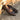 DapperFam Luciano Golf in Dark Brown / Med Brown Men's Italian Leather Loafer