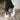 DapperFam Verve in White Men's Italian Leather Low Kick