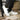 DapperFam Verve in White Men's Italian Leather Low Kick
