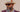 best bruno capelo hats
