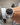 Paul Rich US Legacy Silver Black Dress Watch