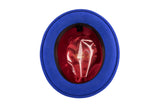 Ferrecci Brooks in Royal Blue Australian Wool Felt Trilby
