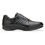 Astor in Black