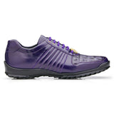 Astor in Purple