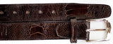 Belvedere Genuine Ostrich Leg Belt in Chocolate Brown