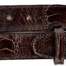 Belvedere Genuine Ostrich Leg Belt in Chocolate Brown in Chocolate Brown 44 #color_ Chocolate Brown 44