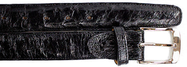 Belvedere Ostrich Quill Belt in Black Black 44