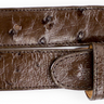 Belvedere Ostrich Quill Belt in Brown in Brown 44 #color_ Brown 44