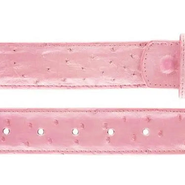 Belvedere Ostrich Quill Belt in Pink in #color_
