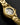 The Argo Automatic - Eclipse in #color_