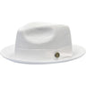 Bruno Capelo Francesco Timeless Straw Fedora in White