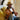 Bruno Capelo Ivy League Wool Teardrop Crown Fedora