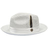 Bruno Capelo Julian Pinch Front Straw Fedora in White