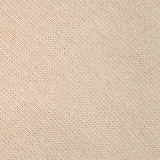 Champagne - Boys Bow TIe — view 2