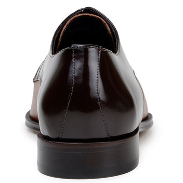 Belvedere Alexander in Brown / Tan