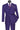 Vinci Purple Regular Fit Double Breasted Suit - F-DSS