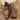 DapperFam Brenno in Tweed / Brown Men's Sartorial & Hand-Painted Patina Single Monk in Tweed / Brown