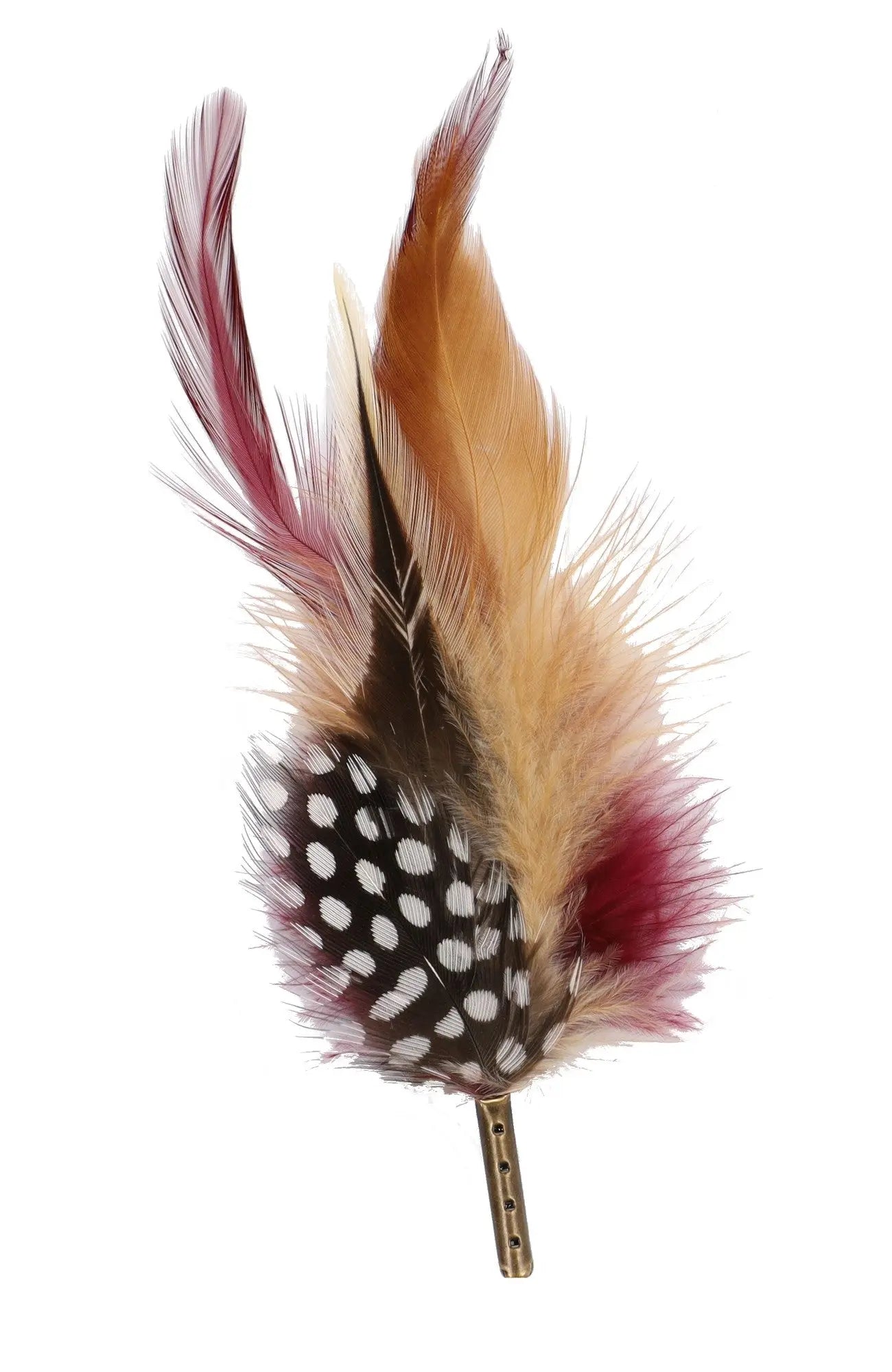 DapperFam Burgundy / Natural 5 in Guinea Hen Hat Feather in Bronze Tip