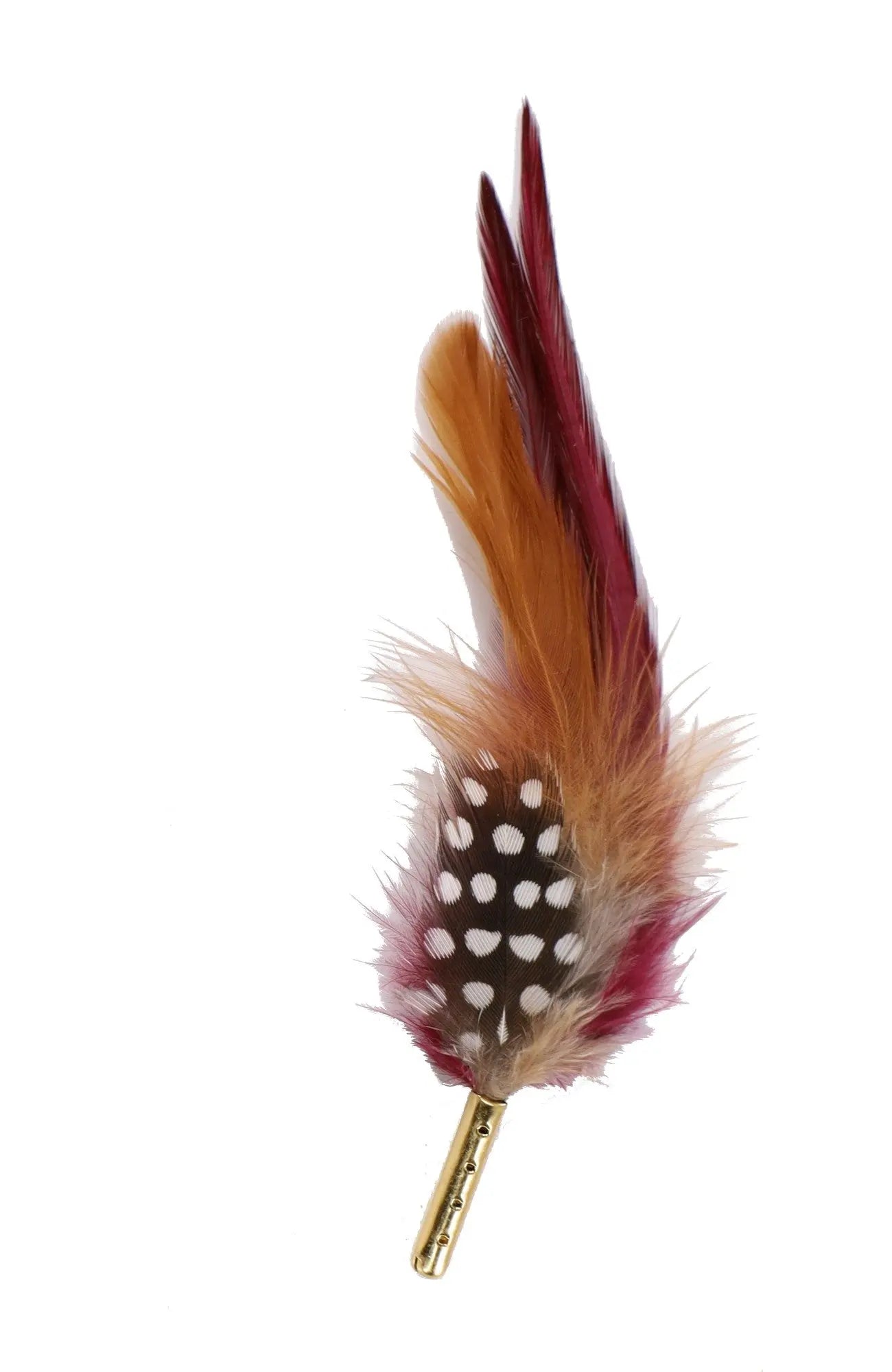 DapperFam Burgundy / Natural 5 in Guinea Hen Hat Feather in Gold Tip