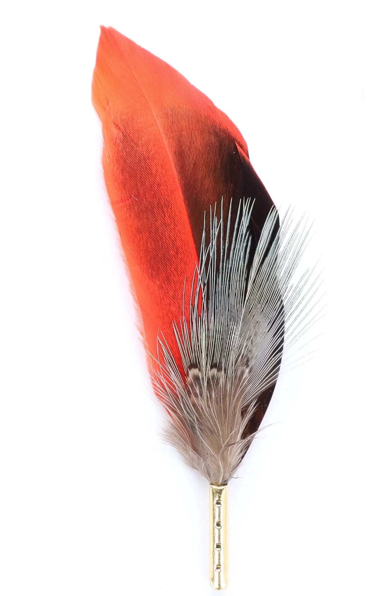 DapperFam Red & Black 4 in Iridescent Duckwing Hat Feather in Gold Tip