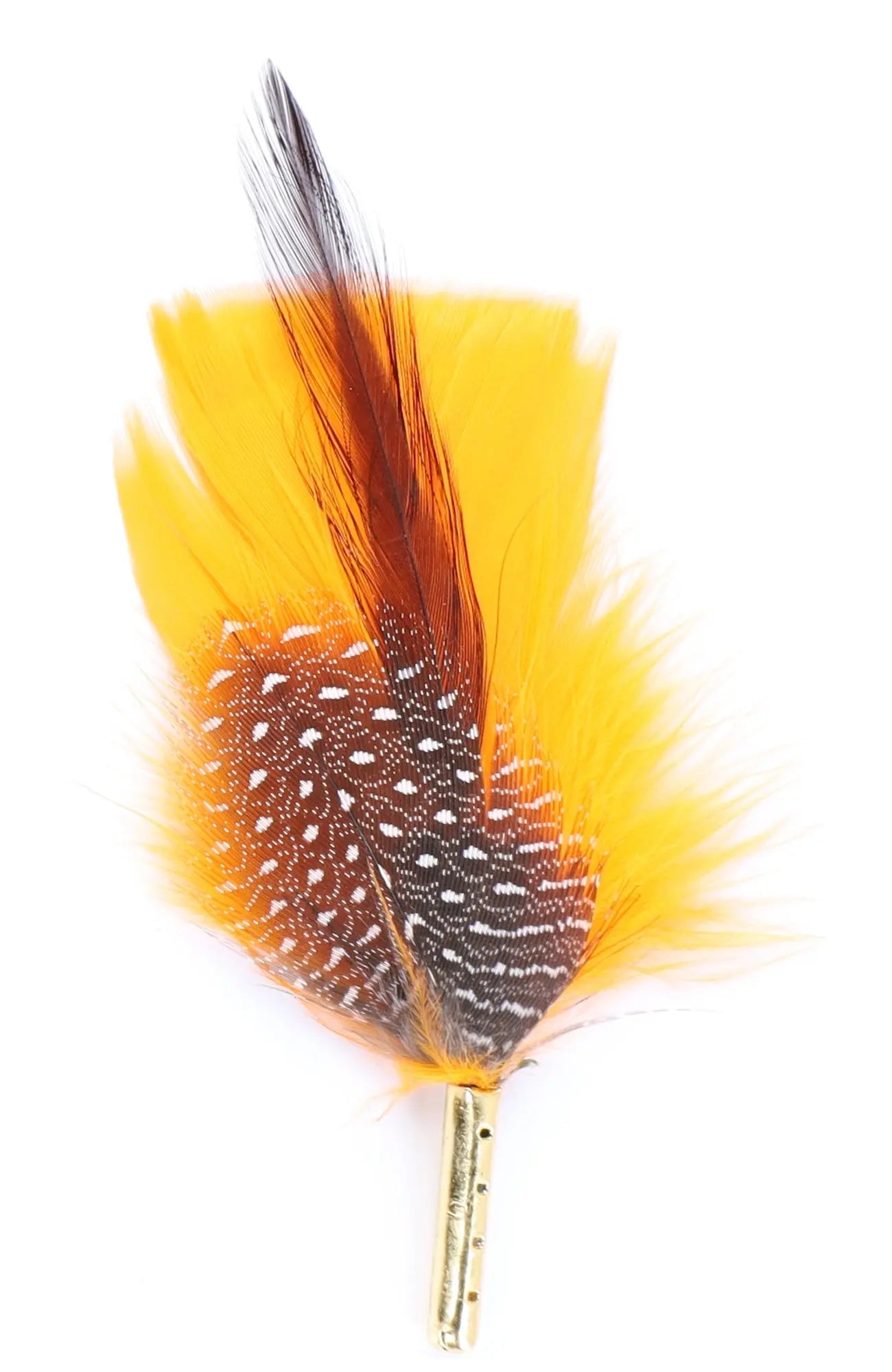DapperFam Sunset Stroll 4 in Guinea & Poultry Hat Feather Gold Tip