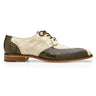 Belvedere Domenico in Bone/Olive