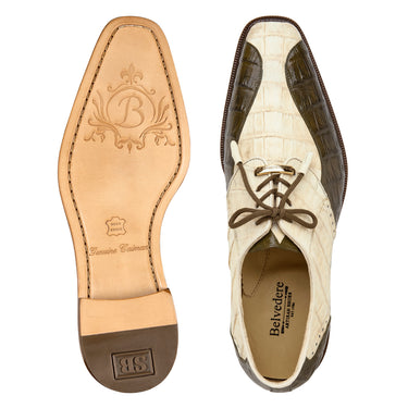Belvedere Domenico in Bone/Olive