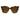 The Ellison - Havana Tort in #color_