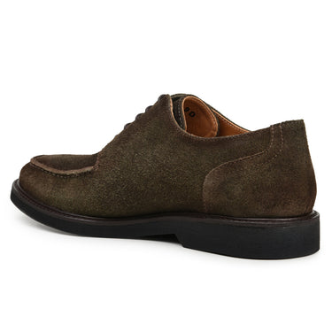Belvedere Franco in Olive