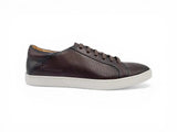 Chestnut