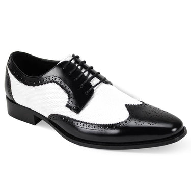 Giorgio Venturi 6881 Wingtip Leather Dress Shoes in Black / White