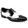 Giorgio Venturi 6881 Wingtip Leather Dress Shoes in Black / White #color_ Black / White