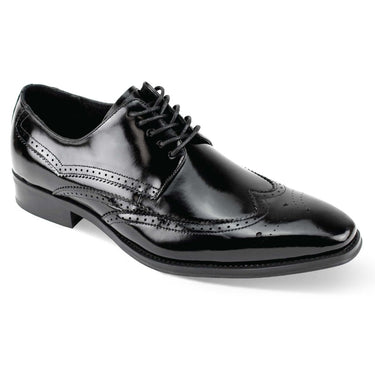 Giovanni Lincoln Genuine Leather Wingtip Mens Dress Shoe in Black