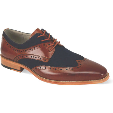 Giovanni Nico Wingtip Perforated Derby in Whiskey/Navy