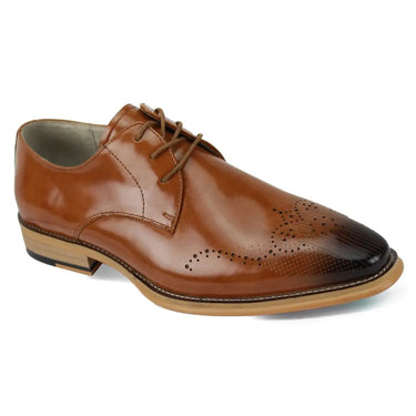 Giovanni Owen Lace Up Perforated Leather Oxford in Tan #color_ Tan