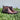 Hand Burnished Calfskin Lace-up Boot in Chestnut
