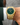 Paul Rich US Frosted Star Dust II Emerald Watch