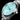 Icon Limited Release - Carolina in #color_