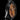 Icon Automatic - Tigers Eye Stealth in #color_