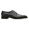 Belvedere Martino in Black in Black